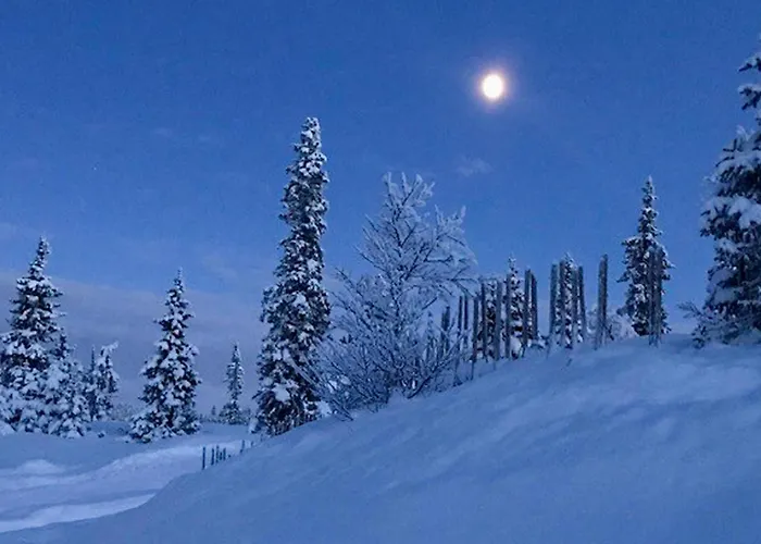 4 Bedroom Pet Friendly In Svingvoll * Svingvoll